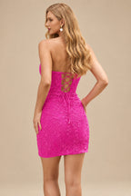 Rutipo Fuchsia Sheath/Column Sweetheart Short/Mini Tulle Homecoming Dress with Beading Lace