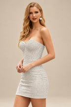 Rutipo Silver Sheath/Column Sweetheart Short/Mini Tulle Homecoming Dress with Beading Lace